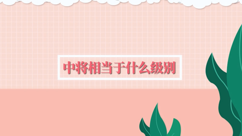 中将相当于什么级别