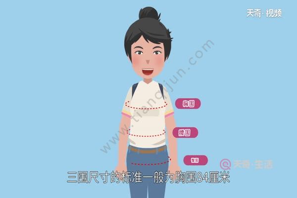 三围是哪三围 三围怎么量