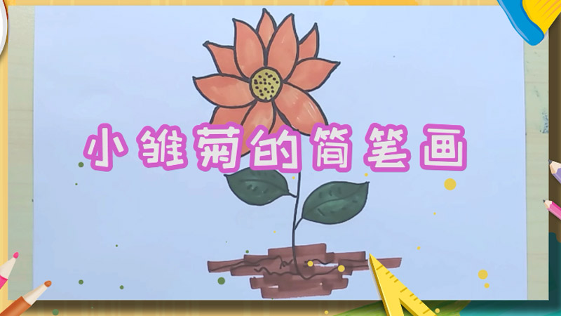 小雏菊简笔画 小雏菊怎么画