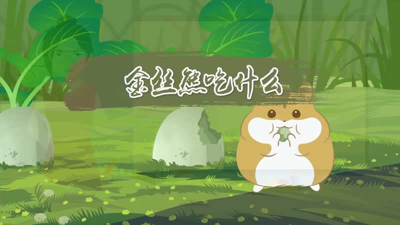 金丝熊吃什么 金丝熊以什么为食