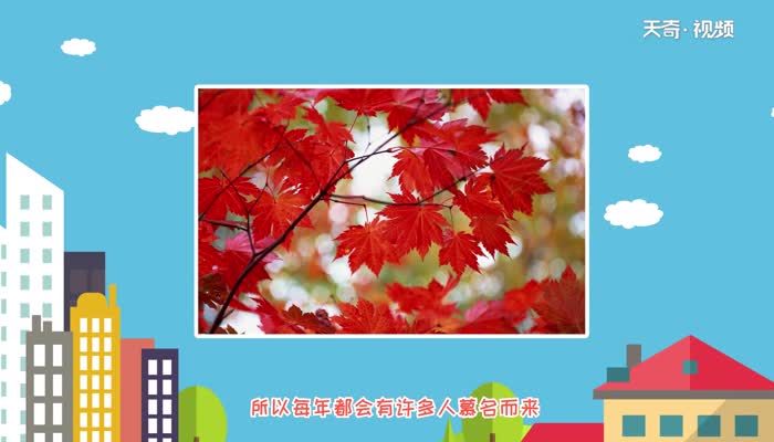 香山红叶几月份好看 香山在哪个城市