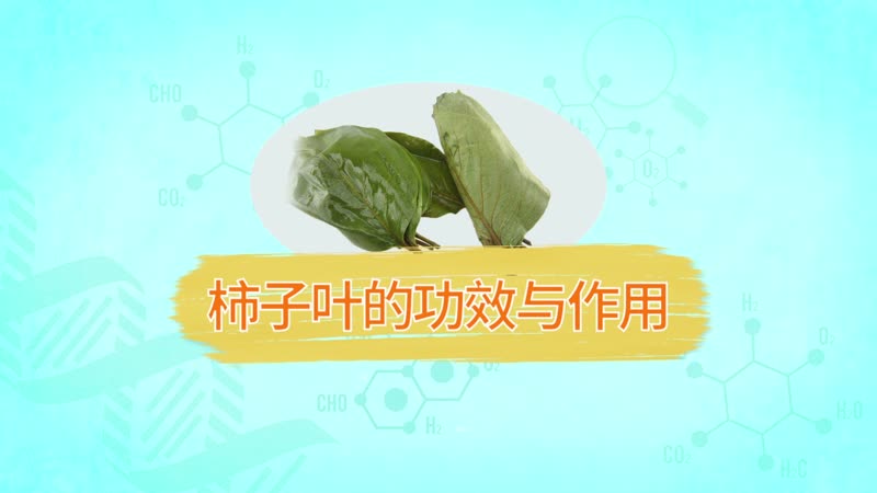 柿子叶的功效与作用 柿子叶的营养价值