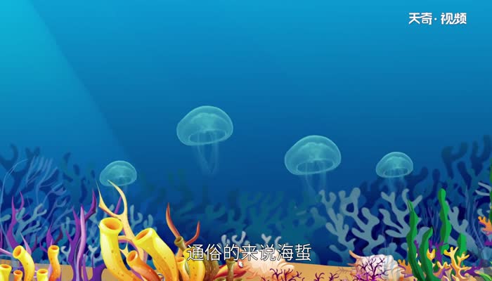 海蜇是水母吗 怎么区分海蜇和水母
