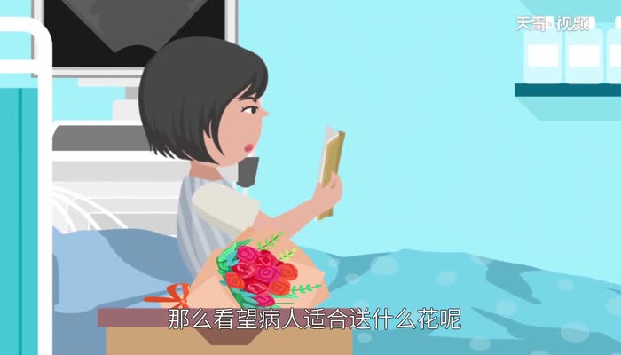 看病人送什么花 看病人送哪种花适宜