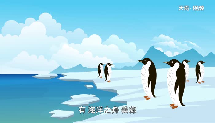 企鹅生活在哪里 企鹅生活在什么地方