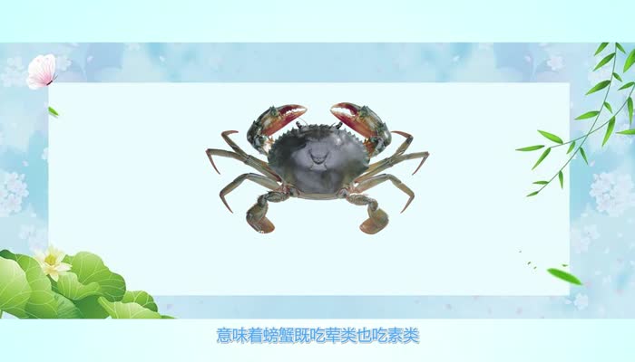 螃蟹吃什么  螃蟹吃什么食物