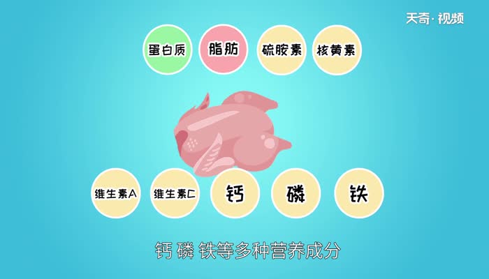 鸡肉是寒性食物吗鸡肉属于寒性吗