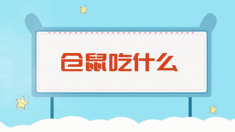 仓鼠吃什么 仓鼠可以吃的东西有哪些