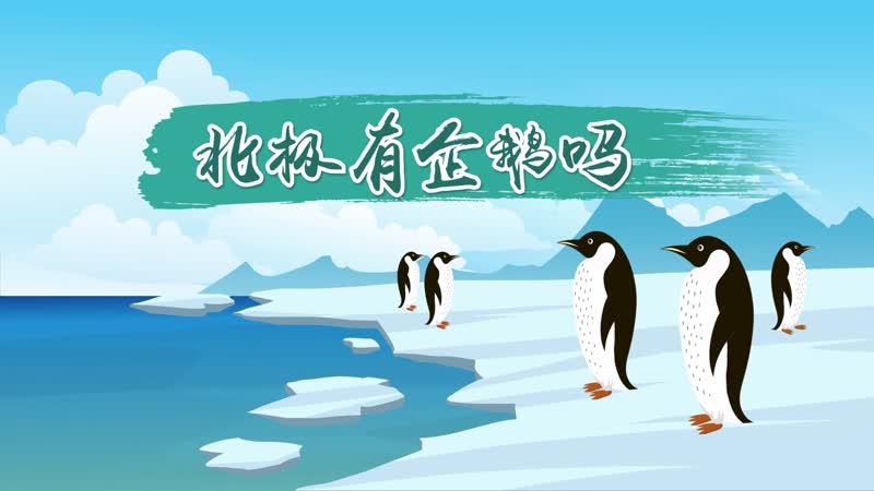 北极有企鹅吗 北极有没有企鹅