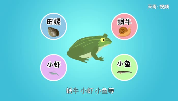 青蛙是什么动物 青蛙主要栖息在哪里