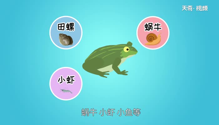 青蛙冬眠吗 青蛙是什么动物