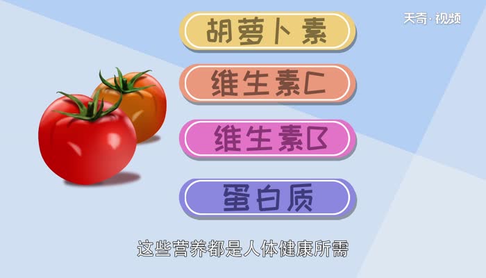 番茄是水果还是蔬菜 番茄属于什么类