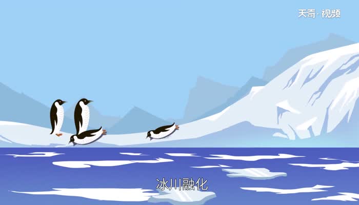 南极动物有哪些 南极生活的动物
