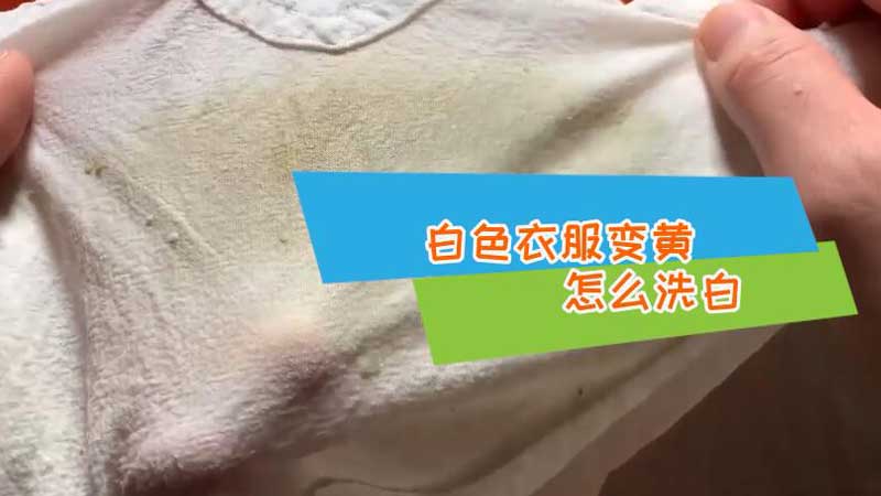 白色衣服变黄怎么洗白 白衣服发黄了如何洗白