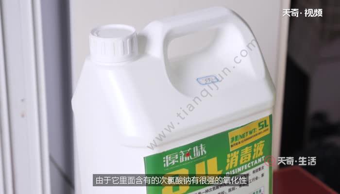 发财树锯掉根后能重新生根吗