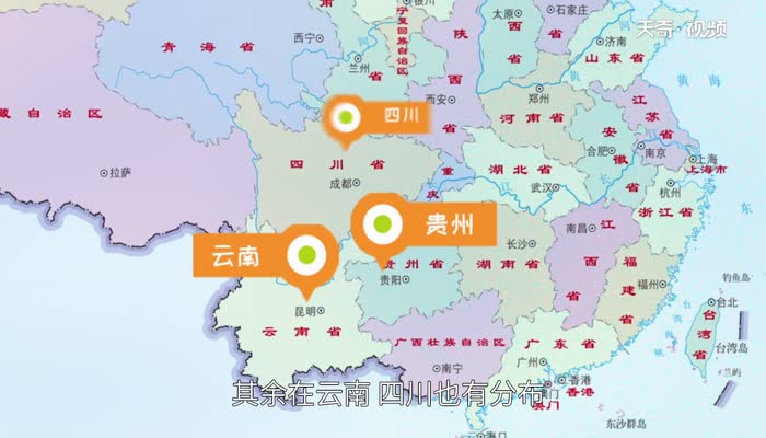 布依族是哪个省的 布依族分布在中国的哪些地方