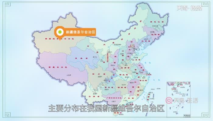 哈萨克族分布在哪个省 哈萨克族主要分布在我国的那个省区