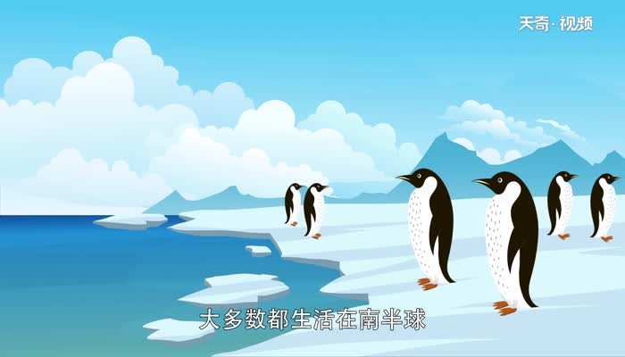 企鹅生活在南极还是北极 企鹅生活在哪里