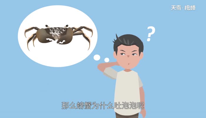 螃蟹为什么吐泡泡 为什么螃蟹会吐泡泡
