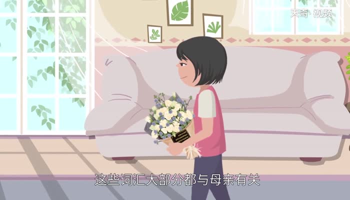 母亲节为什么送康乃馨 为什么母亲节只送康乃馨而不是其他花
