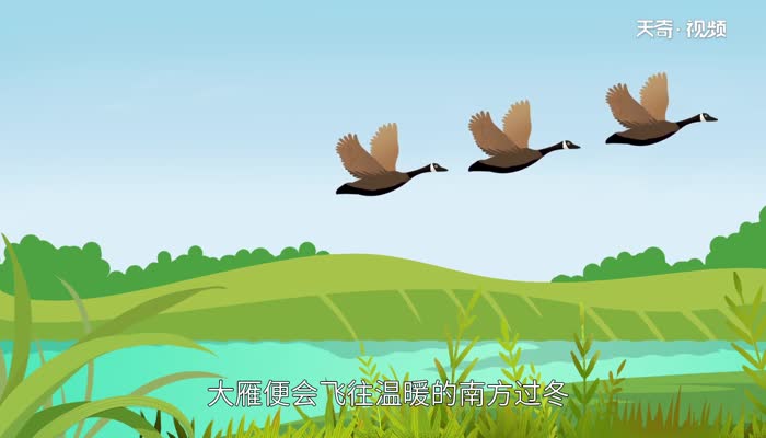 大雁南飞是什么季节 大雁南飞的季节是是什么