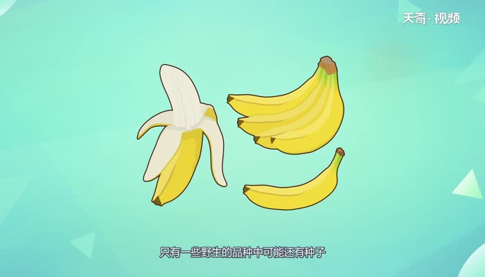 香蕉到底有没有种子 香蕉有种子吗