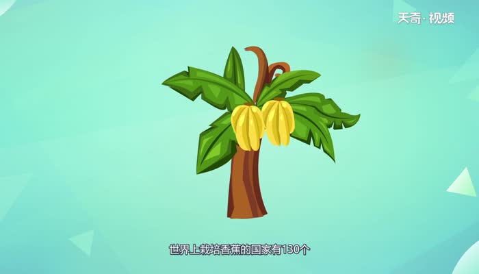 香蕉到底有没有种子 香蕉有种子吗