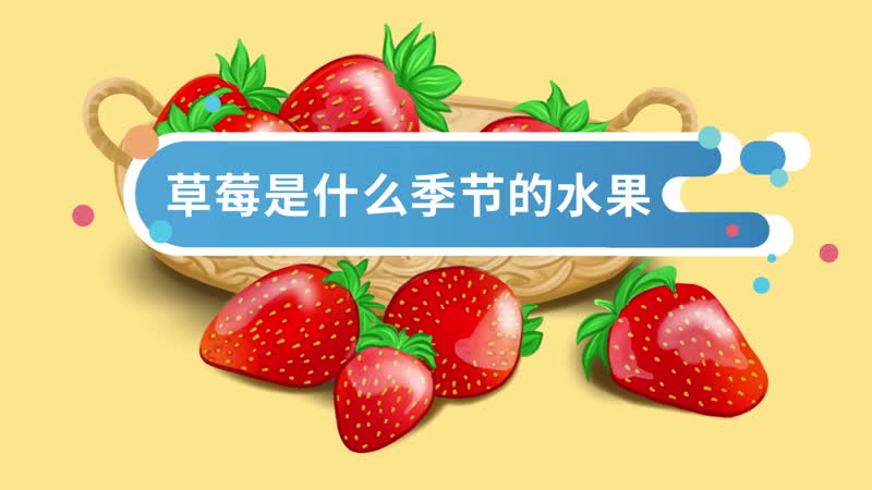 草莓是什么季节的水果 几月份可以摘草莓