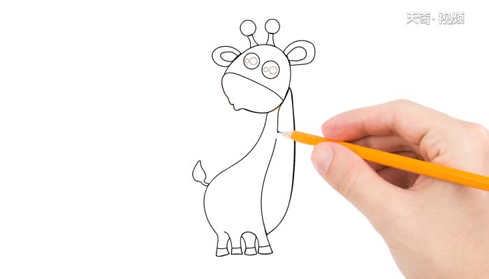 长颈鹿简笔画教程  长颈鹿简笔画画法