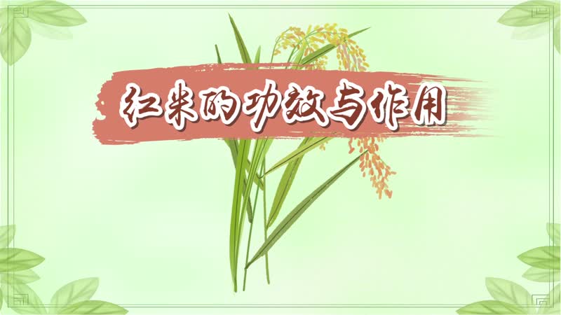 红米的功效与作用 红米的营养价值