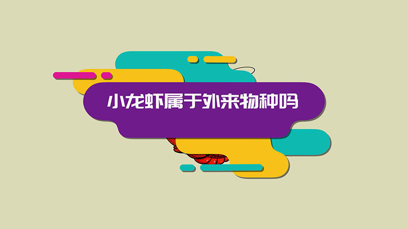 小龙虾属于外来物种吗 小龙虾是不是外来物种呢