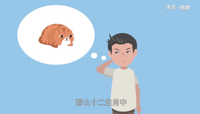 十二生肖为什么没有猫 为什么十二生肖里面没有猫咪