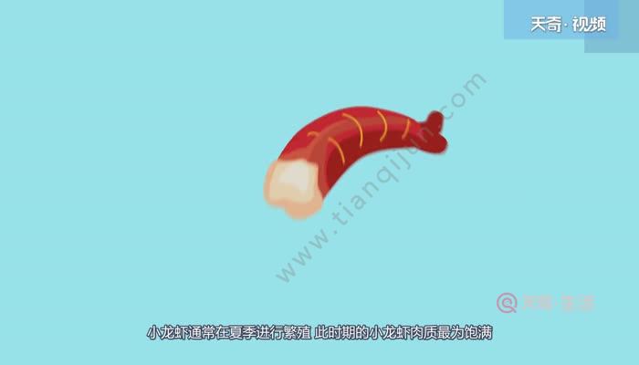 小龙虾什么季节吃最好 什么季节吃小龙虾最好