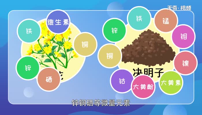 菊花决明子茶的功效与作用 菊花和决明子泡茶喝有什么用
