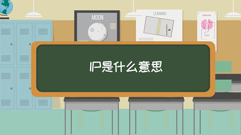 IP是什么意思 IP的意思是什么
