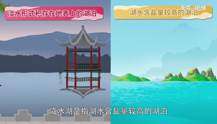 淡水湖和咸水湖的區(qū)別 咸水湖和淡水湖怎么區(qū)分