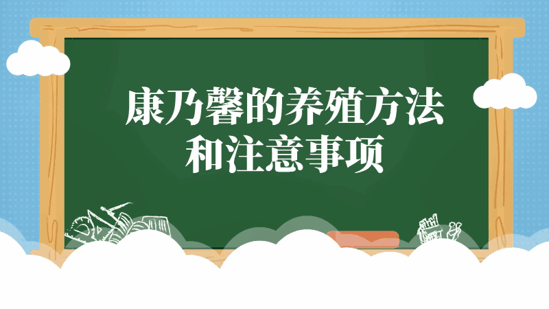 康乃馨的養(yǎng)殖方法和注意事項(xiàng) 康乃馨的養(yǎng)殖方法和注意事項(xiàng)有哪些