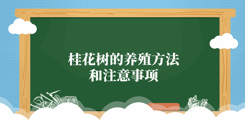 桂花樹的養(yǎng)殖方法和注意事項(xiàng) 桂花樹的養(yǎng)殖方法和注意事項(xiàng)有哪些