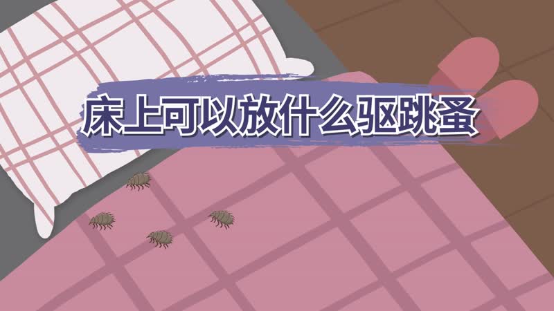 床上可以放什么驅(qū)跳蚤 什么能去跳蚤