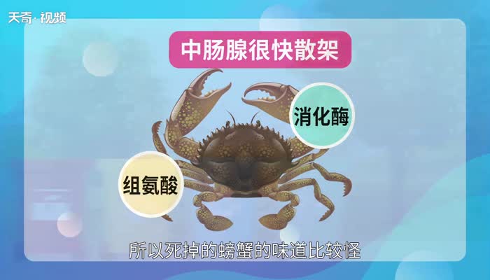 螃蟹死了能吃吗 死螃蟹到底能不能吃