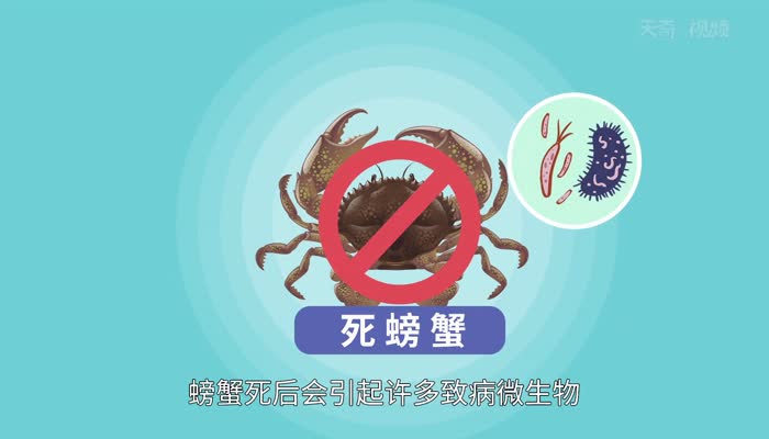 螃蟹死了能吃吗 死螃蟹到底能不能吃
