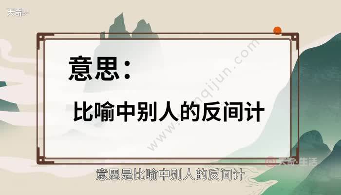 【释义】比喻中别人的反间计.