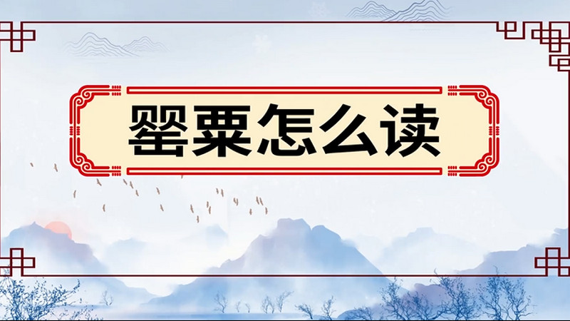 罂粟怎么读 罂粟的读法