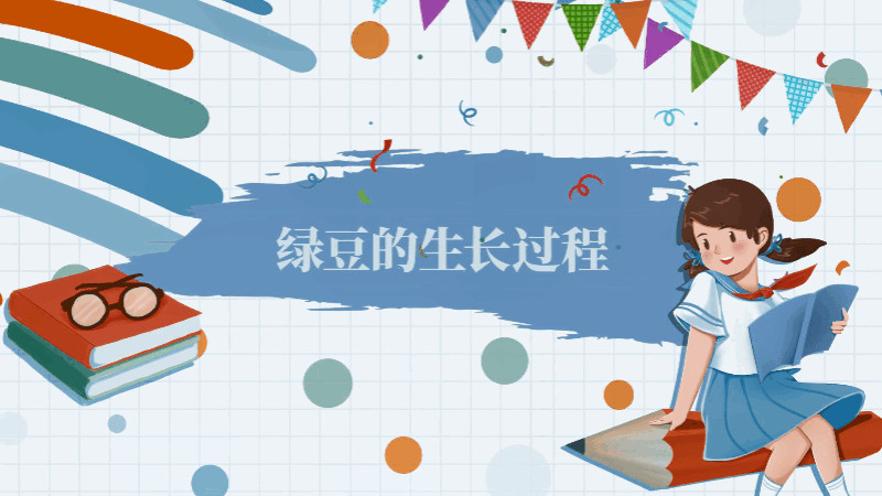 绿豆的生长过程 绿豆生长过程