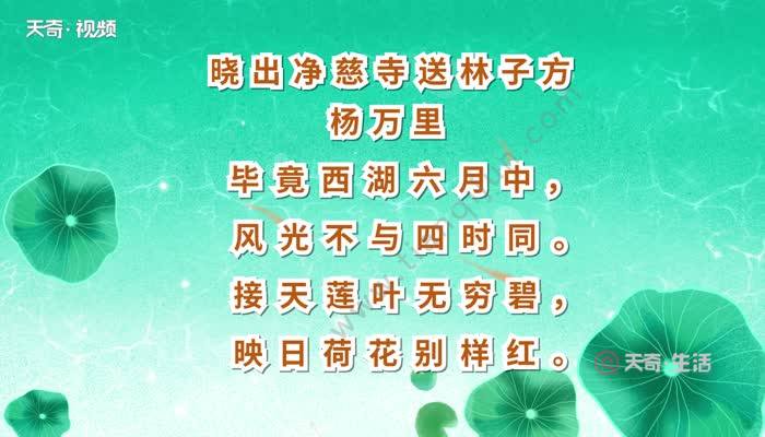 晓出净慈寺送林子方—杨万里 毕竟西湖六月中,风光不与四时同.