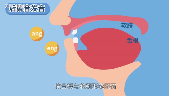 前鼻音和后鼻音有哪些 怎么区分前鼻音和后鼻音