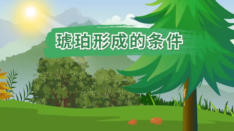 琥珀形成的条件 琥珀是怎样形成的