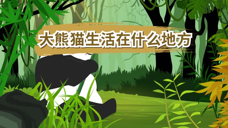大熊猫生活在什么地方 大熊猫生活在哪里