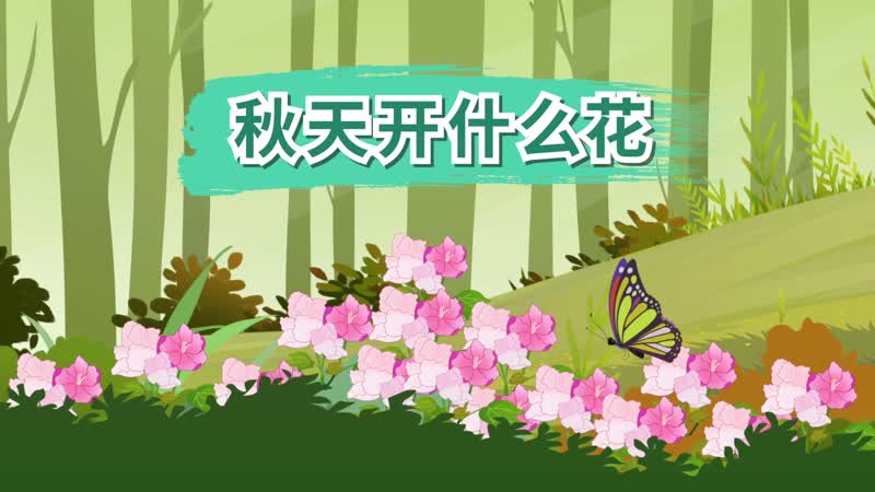 秋天开什么花 什么花在秋季开花