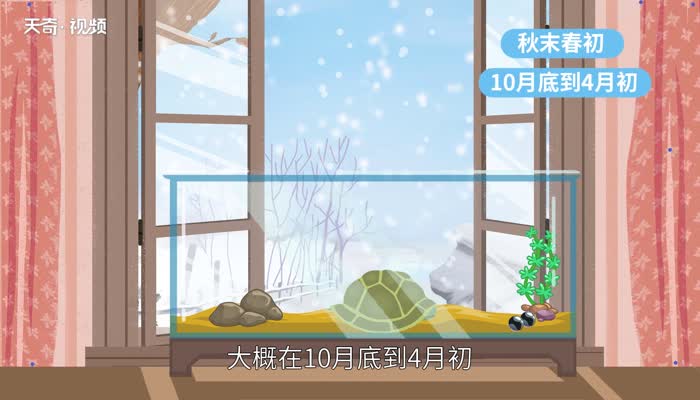 乌龟冬眠吗 什么龟不需要冬眠